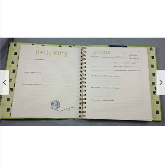 SCRAPBOOK My Cat's Life: A Journal for Cats and the People They Love Diary 2007 - Picture 3 of 7